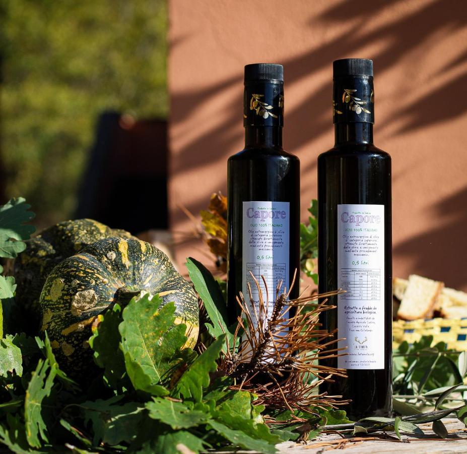 La Tenuta - Resort Agricolo Casaprota Exteriér fotografie