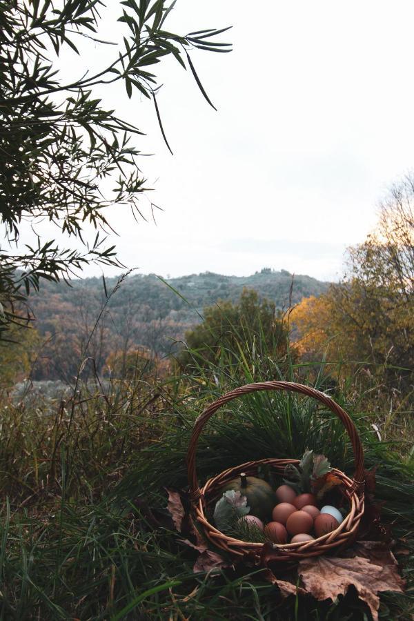 La Tenuta - Resort Agricolo Casaprota Exteriér fotografie