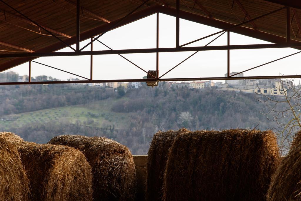 La Tenuta - Resort Agricolo Casaprota Exteriér fotografie
