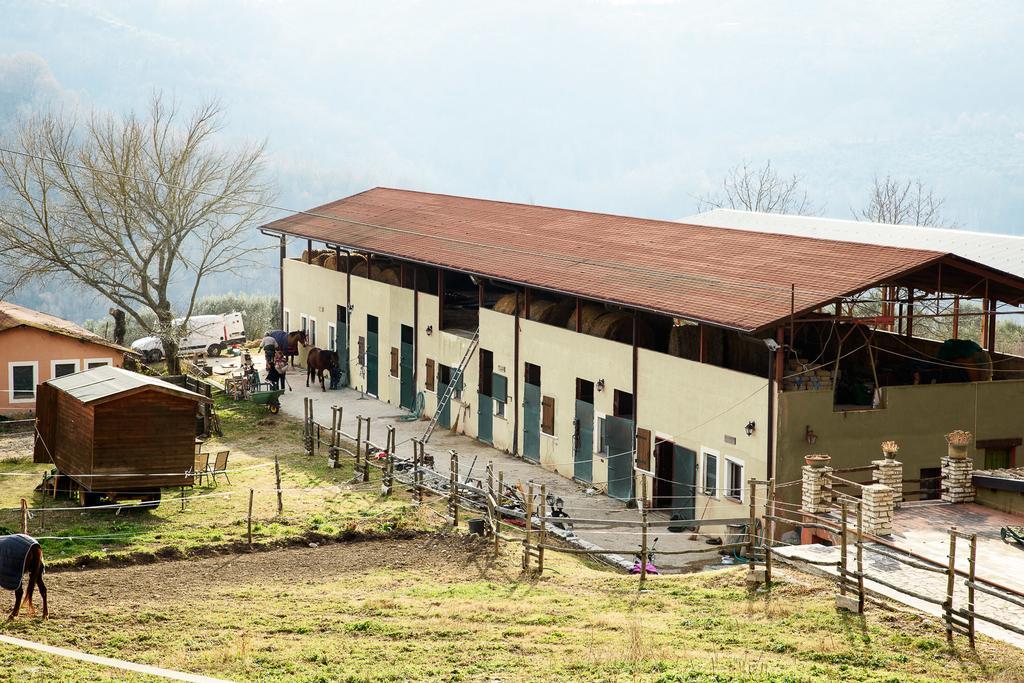 La Tenuta - Resort Agricolo Casaprota Exteriér fotografie
