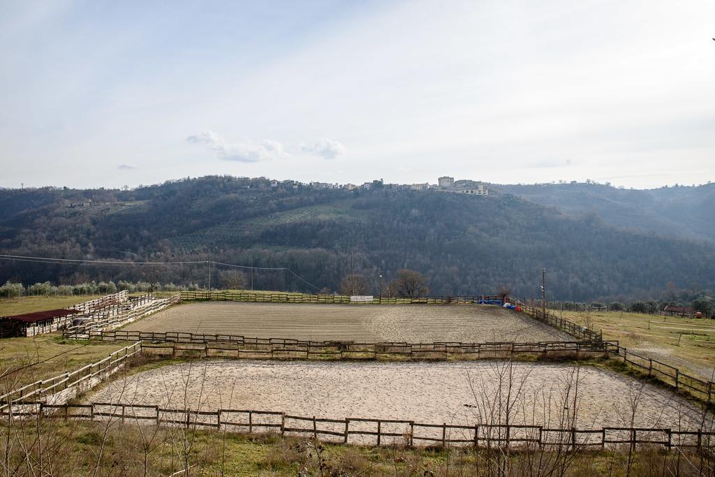 La Tenuta - Resort Agricolo Casaprota Exteriér fotografie