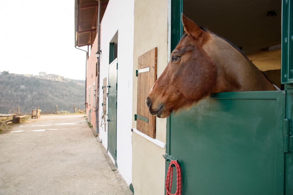 La Tenuta - Resort Agricolo Casaprota Exteriér fotografie