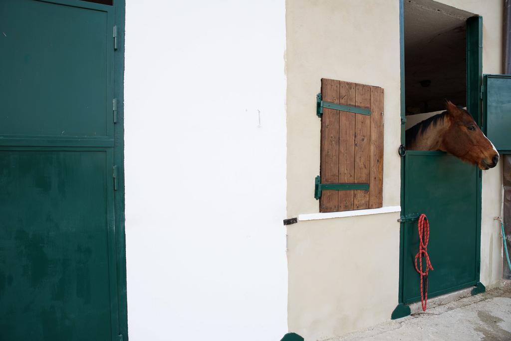 La Tenuta - Resort Agricolo Casaprota Exteriér fotografie