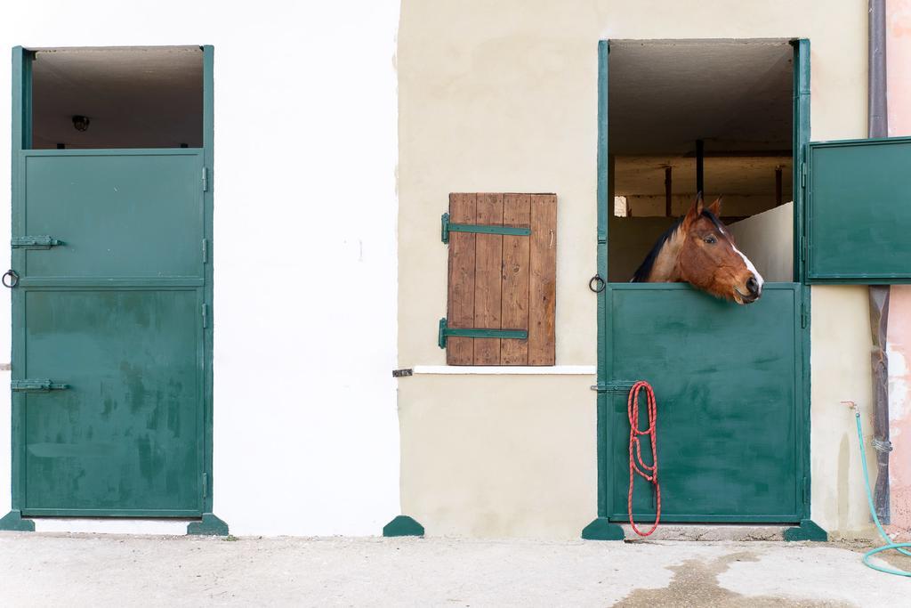 La Tenuta - Resort Agricolo Casaprota Exteriér fotografie